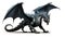 Photo realistic, beautiful majestic black dragon, opulent on white background