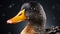 Photo Realistic Duck: A Stunning Depiction Of Nature\\\'s Beauty