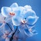 Photo Realistic Image of Translucent Orchids AI Generated