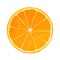 Photo-realistic Orange Slice