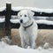 Photo realistic Painting Depicting a White Dog in Snowy Surroundings. Generative AI