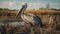 Photo-realistic Pelican Standing On Grassy Field - Vray Tracing