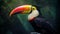 Photo Realistic Toucan: A Hyper-detailed Jungle Rendering