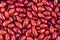 Photo of a red dogwood berry pattern