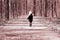 Photo in retro style depicting running child on road in spring forest