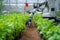 Photo Robotic cultivation Precision in planting and gardening, courtesy of advanced technology