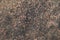 Photo roof tile background texture.