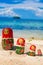 Photo Rows Puzzle Russian Dolls Matrioshka Souvenir Untouched Tropical Beach in Bali Island. Vertical Picture. Blurred