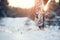 Photo of running man in sneakers on snowy forest in winter