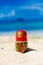 Photo Russian Dolls Matrioshka Souvenir Untouched Sunny Tropical Beach in Bali Island. Vertical Picture. Blurred