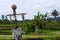 Photo of scarecrow in field in Indonesia