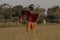 a photo of a scarecrow in the middle of a rice field