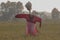 a photo of a scarecrow in the middle of a rice field