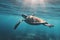 photo of Sea turtle in the Galapagos island. Neural network AI generated