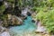 Photo of a serene river flowing through a vibrant green forest