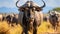 A photo of the Serengeti Migration, with a sea of wildebeest as the background, during the annual migration