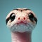 Photo of a Shocked cute snake face on solid color background. ai generative