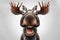 Photo shocked moose with bulging eyes portrait on a white background. ai generative