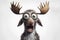 Photo shocked moose with bulging eyes portrait on a white background. ai generative