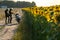 Photo shoot of a motorcyclist on the background of a blooming field of sunflowers. A sports motorcyclist on a dirt road near a