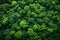 A photo showcasing a dense cluster of towering trees in a lush forest, A panoramic birds-eye view of lush green forests, AI