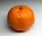 The photo shows whole ripe citrus fruit mandarin