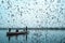 Photo of Siberian bird flying over a river at day time, with a boat sailing in the middle