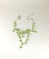 Photo silver necklace with green peridot on a white background, the image of a gift