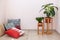 Photo of simple, minimal, wooden shelf, board, construction frame for two green plant flowers stand against pasrel pink wall near