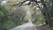 A photo of a small road with trees growing over it.