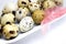 A photo of small uncooked quail eggs and pink feathers in white porcelain plate on the table. A photo of quail eggs, Easter rustic