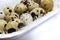 A photo of small uncooked quail eggs and white feathers in white porcelain plate on the table. A photo of quail eggs, Easter rusti