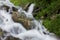 Photo of small waterfall surrounded by wildflowers and greenery in the Dzenbronia mountains landscape