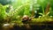 photo of a snail, macro photography , stream of fresh water, young green plant, outdoor springtime. generative ai AIG32