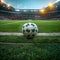 Photo Soccer ball poised on green field in vibrant stadium setting