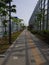 photo of the special sidewalk for pedestrians on the side of the highway which is fenced with glass