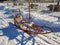 Photo of standalone wooden dog sled for dog sledding. Typical traditional old construction for winter racing in Lapland, Sweden