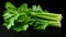 Photo of the stem and leaves of fresh celery