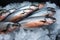 Photo Stock Close up shot of Southeast Asian salmon fish in a market