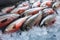 Photo Stock Close up shot of Southeast Asian salmon fish in a market