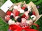 Photo strawberry blackberry berry sweet chocolate bouquet romantic gift