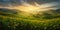 Photo on stretching corn field of meadows, trees, mountains, sunset or sunrise. Corn as a dish of thanksgiving for the harvest