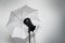 Photo studio lightning - strobe flash with white umbrella