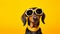 Photo of a stylish dachshund rocking sunglasses on a vibrant yellow backdrop