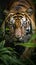 Photo Sumatran tiger in closeup, stalking prey with jungle ambiance