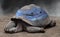 Photo surrealism showing a turtle with aquarium in its shell