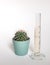 Photo of test tube with water and small cactus in turquoise flower pot