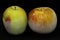 Photo of thawing frozen apples close-up on a black background