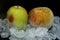 Photo of thawing frozen apples among ice cubes close-up on a black background