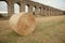 Photo of told aqueduct in Italy, ruins, yellow field